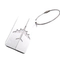 Aircraft Baggage Tag
