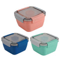 Salad Lunch Container