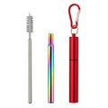 Stainless Steel Telescopic Straw Set