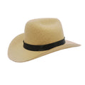 Mini Pet Cowboy Hat