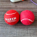 Dog Squeaky Tennis Ball Toy