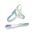Dog Traction Rope Harness Leash