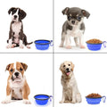 Collapsible Dog Bowl