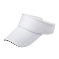 Sun Visor