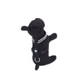 Luminous Pet Chest Harness