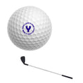 Golf Practice Ball