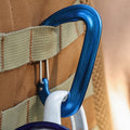 Safety Buckle