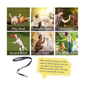 Dog Whistle
