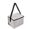 Portable Insulated Cooler Bag