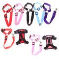Pet Collar Set
