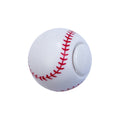Spinner Ball Fidget Toy
