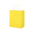 Paper Gift Bag With Handles