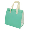 Non Woven Insulated Takeaway Bag