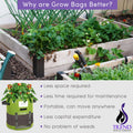 Large 10 Gallon Vegetable Grow Bags