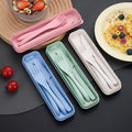 Reusable Wheat Straw Cutlery Set with Case