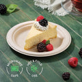 Eco-Friendly Disposable Paper Plate