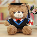 A Bear In Doctor'S Suit