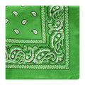 Paisley Hip-Hop Bandana