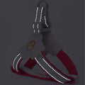 Pet Harness