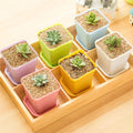 Square Plastic Plant Pots