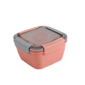 Salad Lunch Container