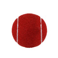 Dog Tennis Ball