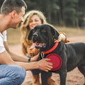 Collapsible Travel Dog Bowl
