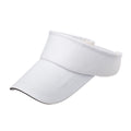 Sun Visor