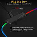 Large Rgb Led Mouse Pa