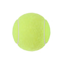Dog Tennis Ball