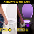 Color Changing Toilet Light