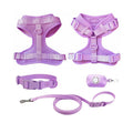 Outdoor Dog Leash Set