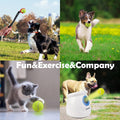 Multifunctional Exercise-Massage-Pet Tennis Balls