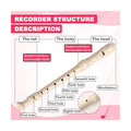 Soprano Recorder Instrument