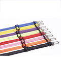 Reflective Elastic Safety Belt