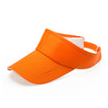 Sun Visor
