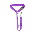 Retractable Pet Leash W/ Metal Carabiner