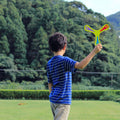 Boomerang Toy