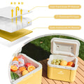 Insulated Ice Box Cooler