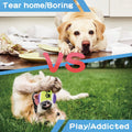Durable Pet Tennis Ball Toy For Dog Training Play