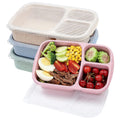 Bento Lunch Box