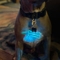 Acrylic Led Dog Leash Collar