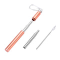 Reusable Stainless Steel Retractable Telescopic Straw Kit