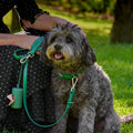 Dog Poop Bag Dispenser Leash Clip Leakproof Twist Top Roll