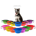 Collapsible Dog Bowl
