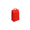 Custom PEVA Eco-Friendly Insulated Lunch Bag