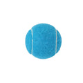 Dog Squeaky Tennis Ball Toy
