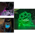 Acrylic Led Dog Leash Collar