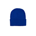 Polyester Knit Beanie