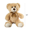 13" Bear Plush Toy